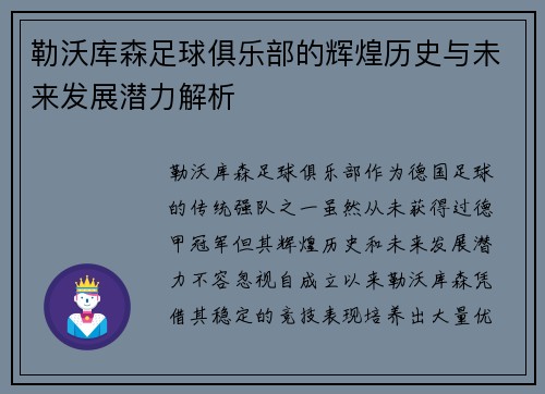 勒沃库森足球俱乐部的辉煌历史与未来发展潜力解析