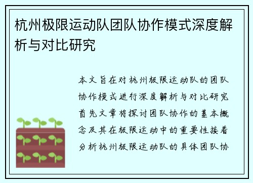 杭州极限运动队团队协作模式深度解析与对比研究